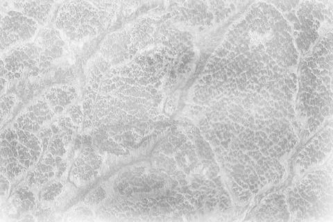 Abstract light gray grunge background with subtle organic textures Stock Illustration
