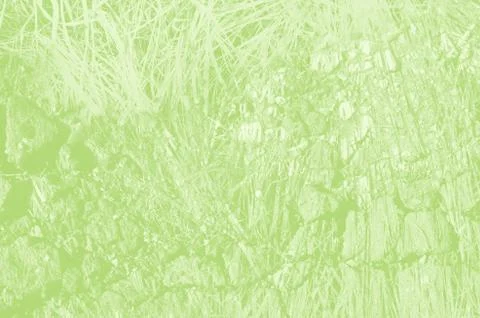Abstract light green background with copy space for design 스톡 일러스트