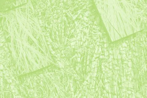 Abstract light green background with copy space for design 스톡 일러스트