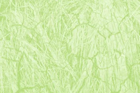 Abstract light green background with copy space for design 스톡 일러스트