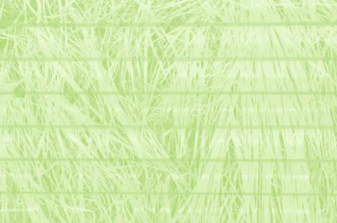 Abstract light green background with copy space for design Stock Illustration