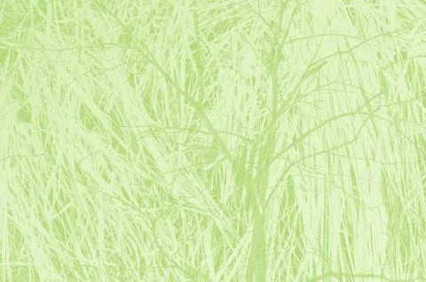 Abstract light green background with copy space for design Foto stock