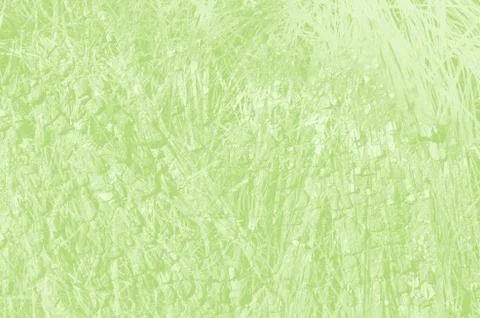 Abstract light green background with copy space for design Foto stock