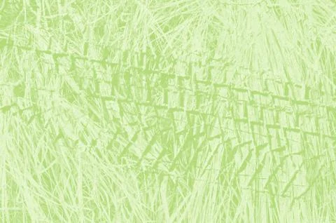 Abstract light green background with copy space for design Foto stock