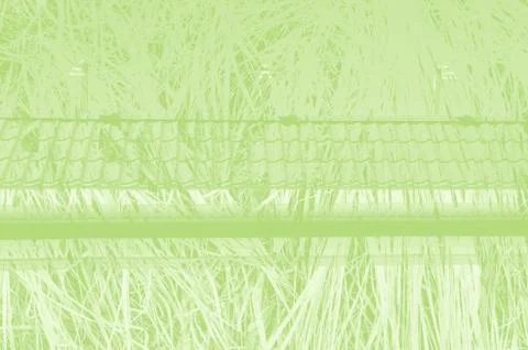 Abstract light green background with copy space for design Stock-Fotos