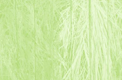 Abstract light green background with copy space for design Foto stock