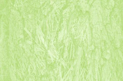 Abstract light green background with copy space for design Stock Photos