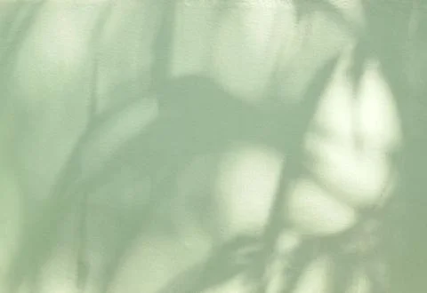 Abstract light green background with light and shadow Stock Photos