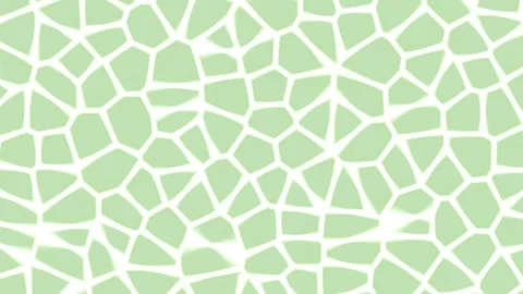 Abstract Light Green Cellular Voronoi Pattern Loop Stock Footage 336267974