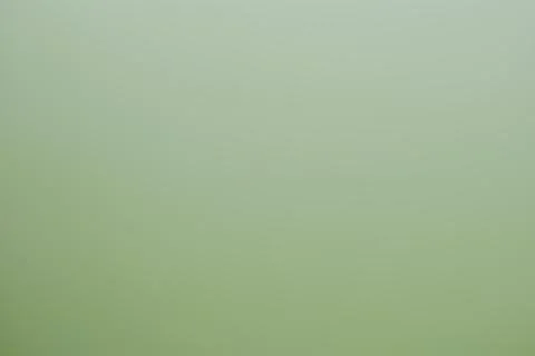 Abstract light green solid color gradient background Stock Illustration