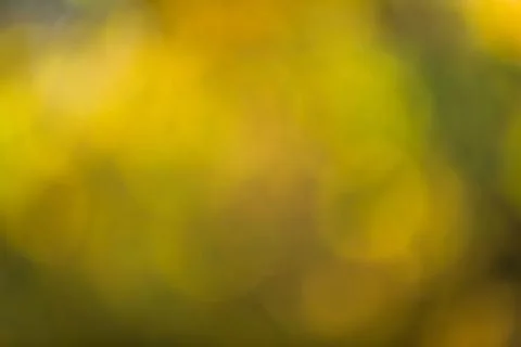 Abstract Light Leak Bokeh Background 스톡 사진