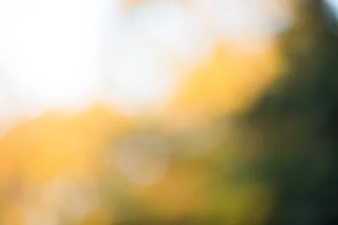 Abstract Light Leak Bokeh Background Stock Photos