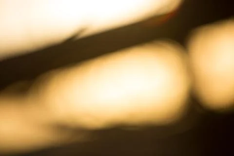 Abstract Light Leak Bokeh Background 스톡 사진