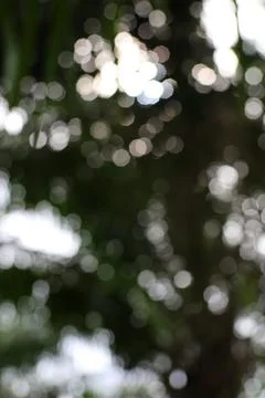 Abstract light leaks create a dynamic composition, showcasing soft transiti.. Stock Photos