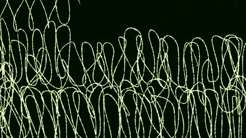 Abstract light lines on black. Abstract pattern of light lines interwoven  Stock Footage 311814702