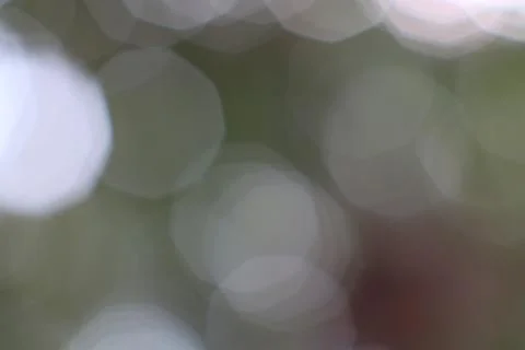 Abstract light orbs background with hints of nature's green and brown Stock Photos