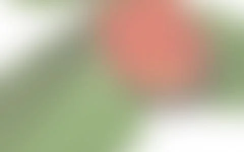 Abstract light overlay with colored highlights and blur, retro style, blurred te Stock Illustration