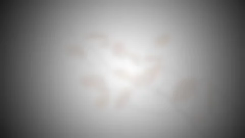 Abstract light overlay with colored highlights and blur, retro style. Stock Illustration