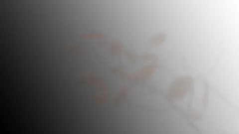 Abstract light overlay with colored highlights and blur, retro style. Stock Illustration
