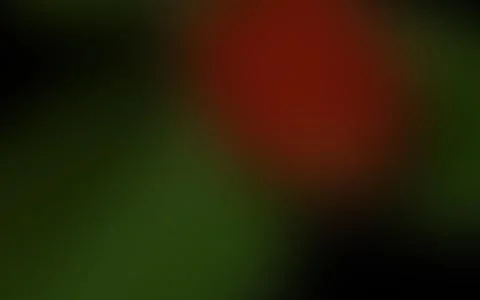 Abstract light overlay with colored highlights and blur, retro style. Stock Illustration