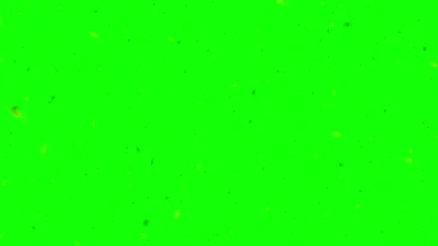 Abstract light particle effect animation. Glowing digital dust particles Vídeo Stock 339754704