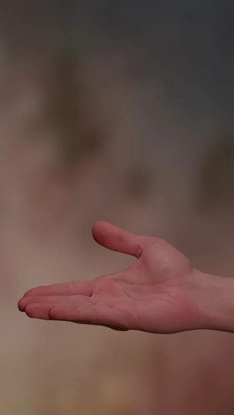 Abstract Light Patterns in Delicate Soft Hues and Subtle Shades of Color Stock Footage 295997175