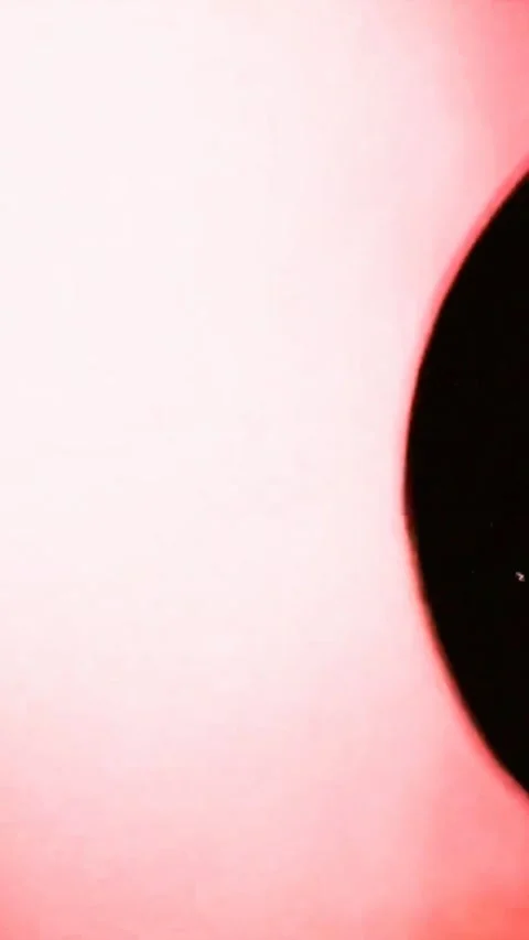 Abstract light pink background with a dark circular transition element for Video stock 347485177