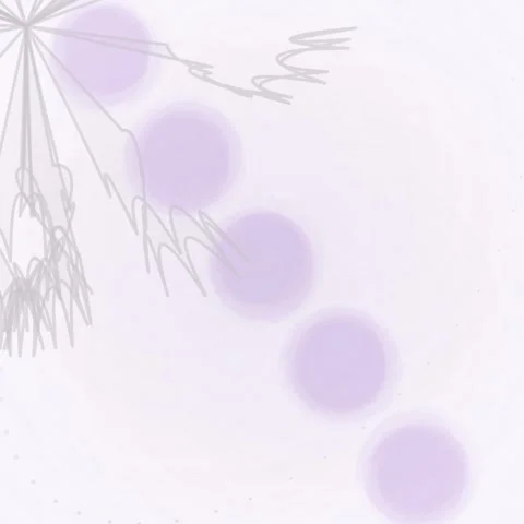 Abstract Light Purple Burst Effect with Soft Bokeh Circles on White Backgroun Stock Footage 346283030