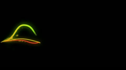 Abstract light strips on dark Stock Footage 10832172