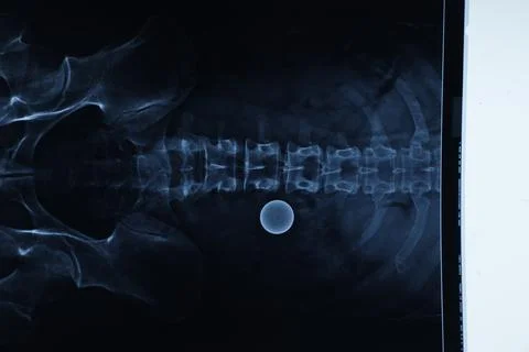Abstract light xrays Stock Photos