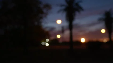 Abstract Lights and Palm Trees Bookeh While Driving at Night Gimbal Stock Footage 264935773