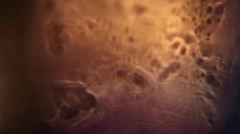 Abstract Lights Stock Footage 12394170