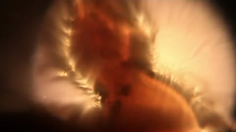 Abstract Lights Stock Footage 12394236