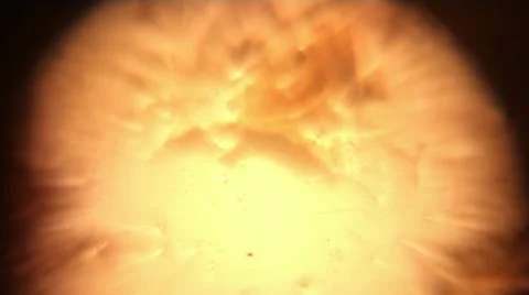 Abstract Lights Stock Footage 12394266