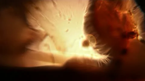 Abstract Lights Stock Footage 12394292