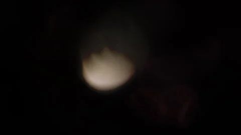 Abstract lights with a special form in the blackness 스톡 동영상 319955937