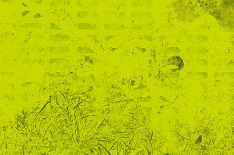 Abstract lime and green colors background for design 스톡 일러스트