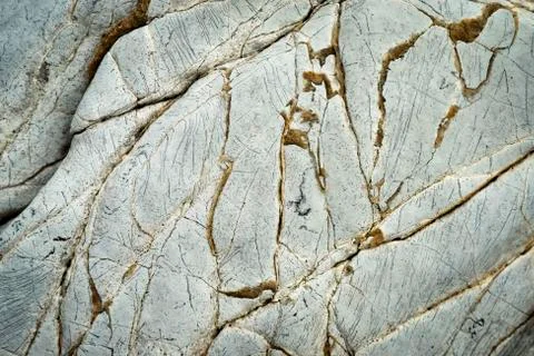 Abstract limestone with quartz lines Foto stock