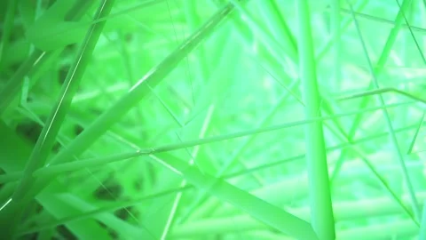 Abstract Line 01 스톡 동영상 173436497