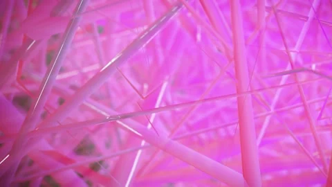 Abstract Line 02 Video stock 173436509