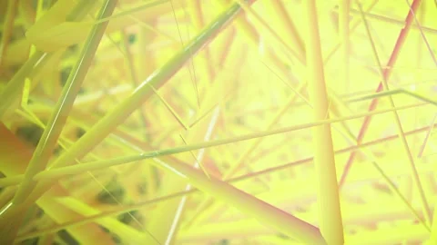 Abstract Line 04 Video stock 173436507