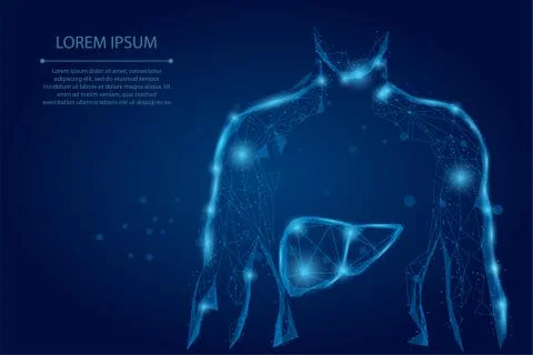 Abstract line and point human body with the liver. Healthcare and Science Ilustração Stock