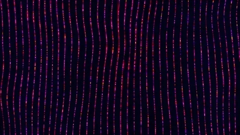 Abstract Line Animation Stock Footage 300212623