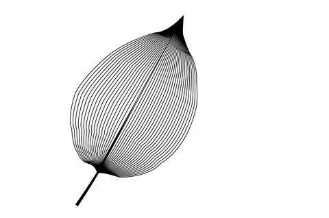 Abstract line art leaf with flowing contour lines minimal botanical Illustrazione stock