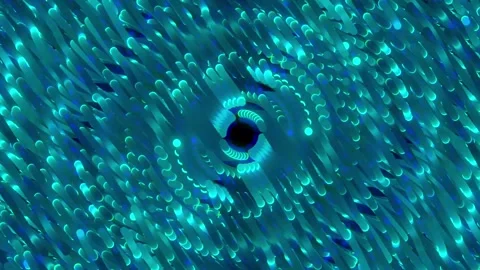 Abstract Line Background 02. Stock Footage 297381057