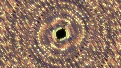 Abstract Line Background 03. Video stock 297381124