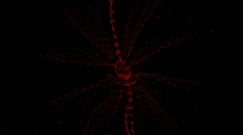 Abstract line connection Stock Footage 46018775