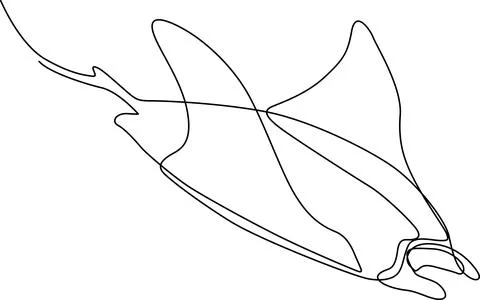 Abstract line drawing of a flying bird Vector 스톡 일러스트