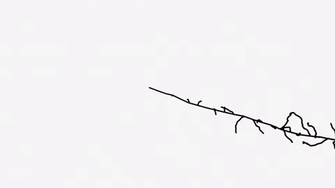 Abstract Lines 14 Stock Footage 161674854