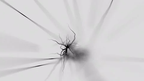 Abstract Lines 16 Video stock 161675248